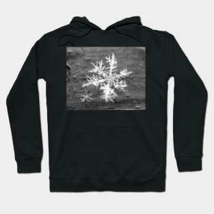 Snowflake abstract winter crystal macro six sided Family Hoodie